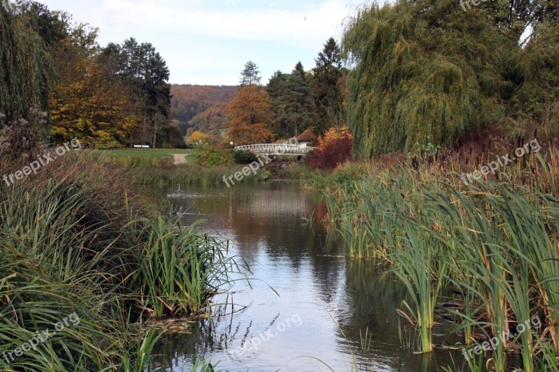 Park Kurpark Lake Water Pond