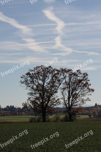 Trees Arable Field Cultivation Hair Dryer