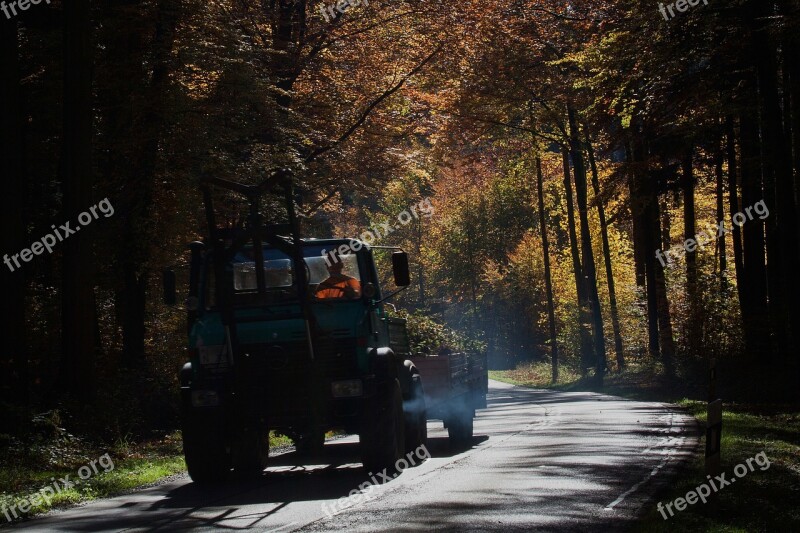 Road Unimog Vice Forest Autumn