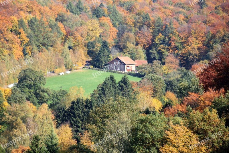 Teutoburg Forest Forest Autumn Deciduous Forest House