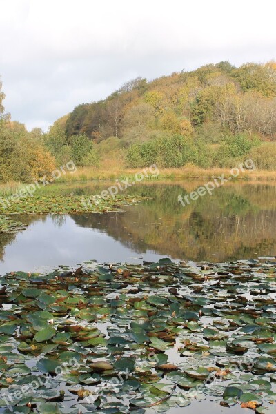 Lake Denmark Pond Reflections Autumn