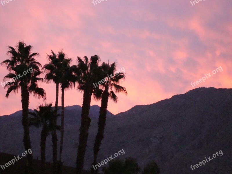 Palm Springs California Mountains Palm Trees Sunset