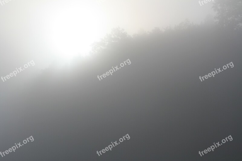 Fog Morning Sun Veil Foggy Free Photos