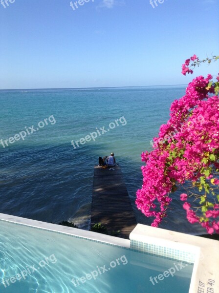 Jamaica Beach Ocean Jetty Flowers