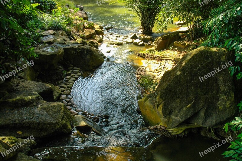 Watercourse Fluent River Landscape Free Photos