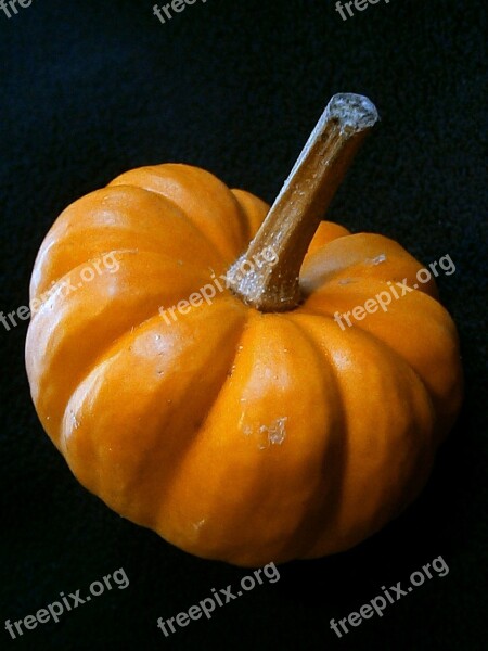 Pumpkin Gourd Miniature Pumpkin Decorative Ribbed