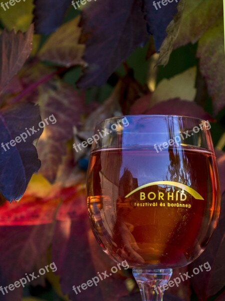 Wine Glass Red Wine Crystal Still Life