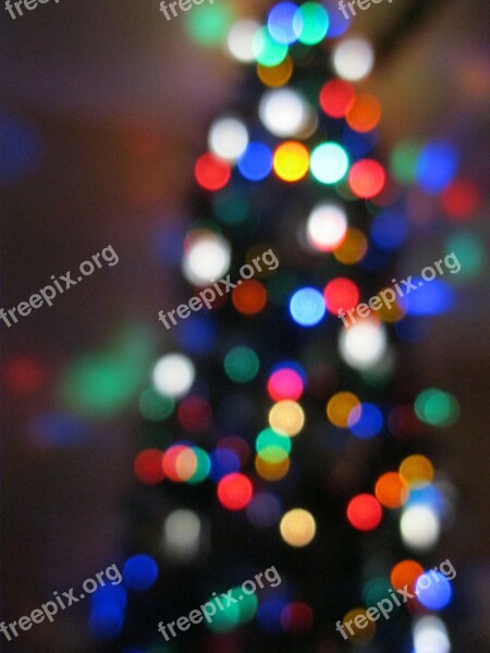 Christmas Tree Colors Lights Xmas