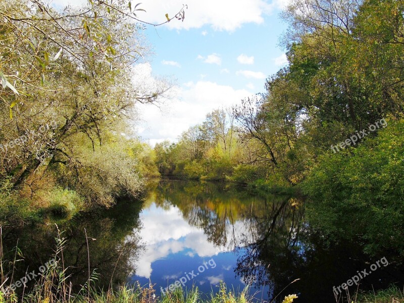 Waters Lake Trees Nature Natural