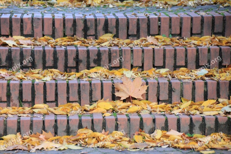 Stairs Autumn Jahreseit Leaves Leaf Fall