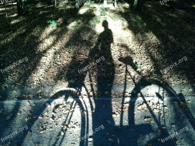 Bike Forest Shadow Character Light