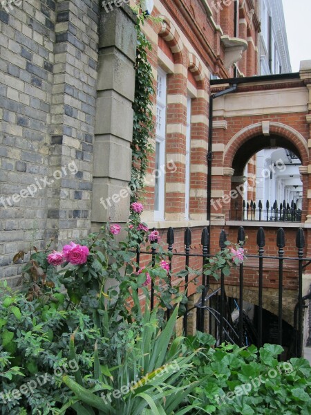 Rose Pink Brick Row House Garden