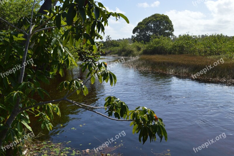 In Imbassaí River Sol Nature Water Holidays