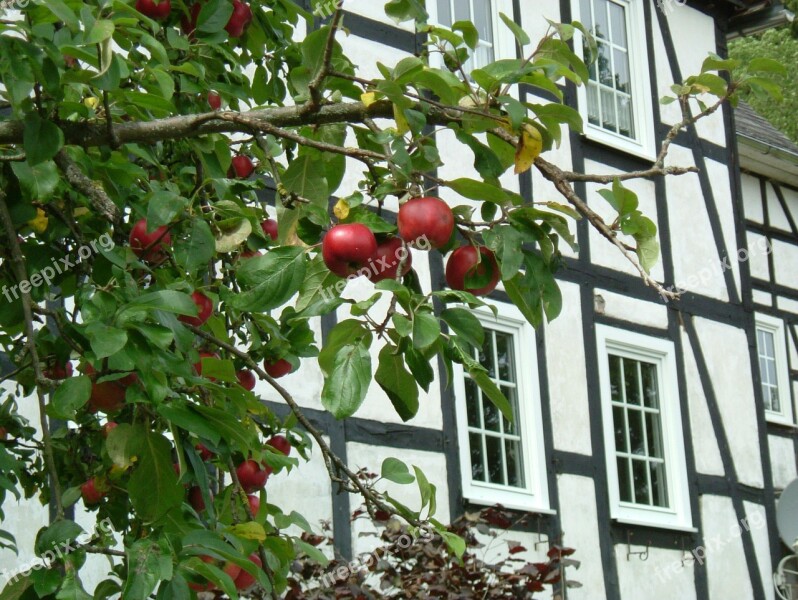 Apple Fachwerkhaus Tree Sauerland Village