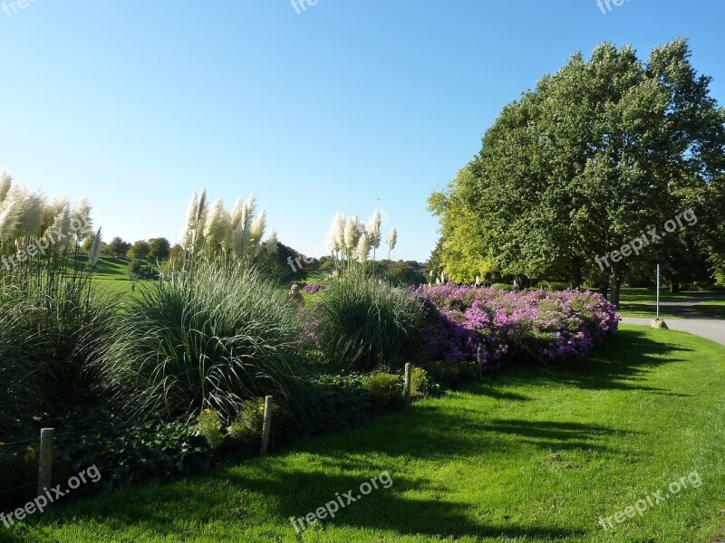 Park Bright Colours Flowers Free Photos