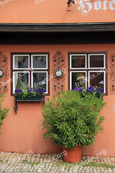 Building House Idyll Plant Window