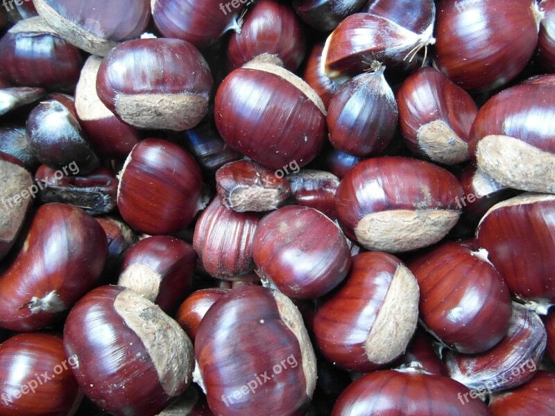 Maroni Sweet Chestnuts Autumn Fruits Basket