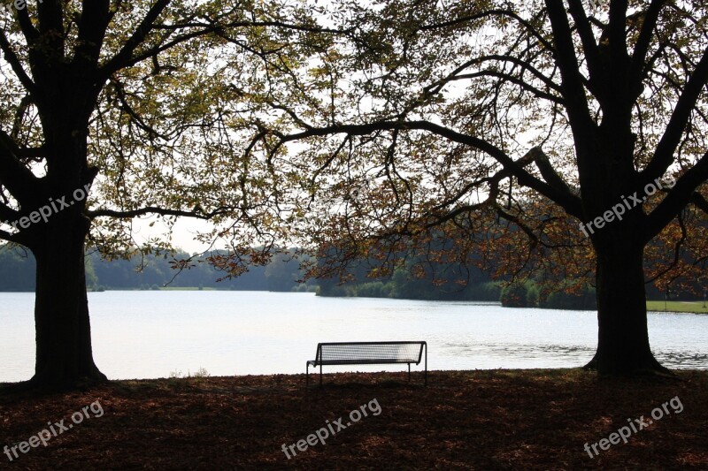 Autumn Park Emerge Pond Autumn Forest