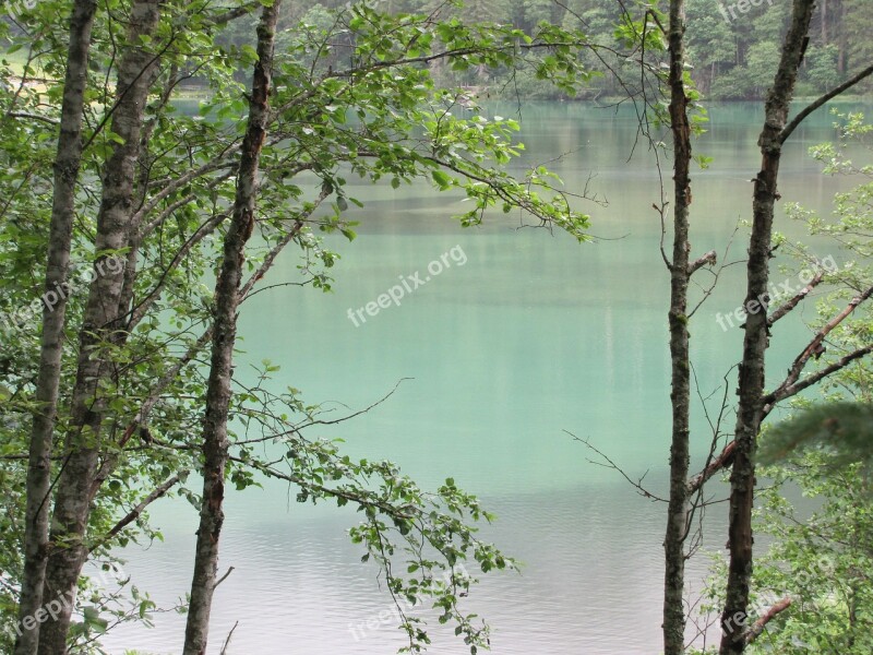 Austria Nature Lake Hunter Lake Blue