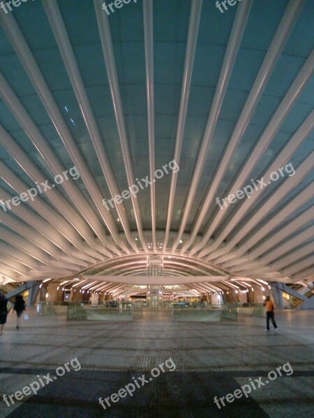 Modern Architecture Modern Art Railway Station Portugal