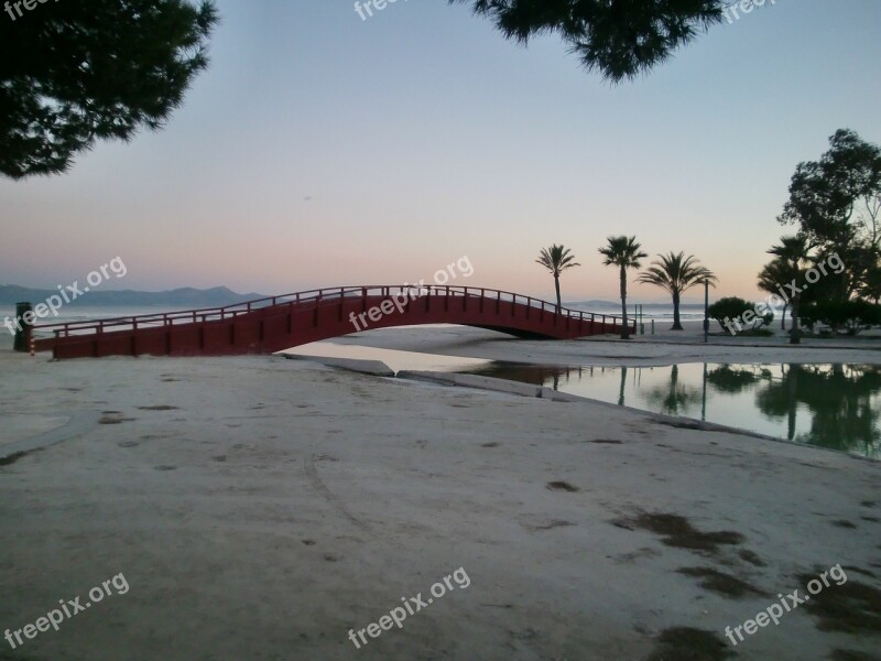 Bridge River Mirroring Palm Trees Sea