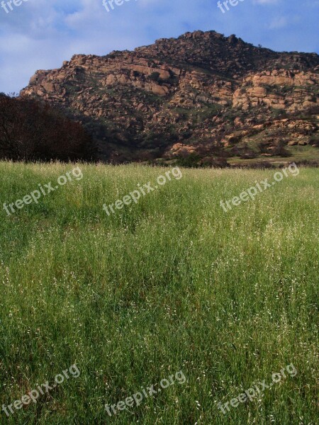 Landscape Chatsworth California Park Grass