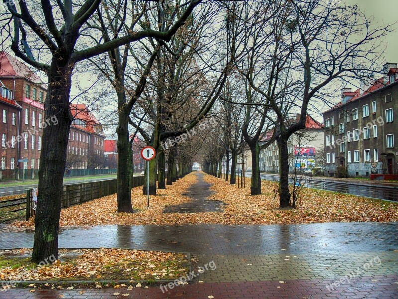 Gdańsk Poland City Wet Damp