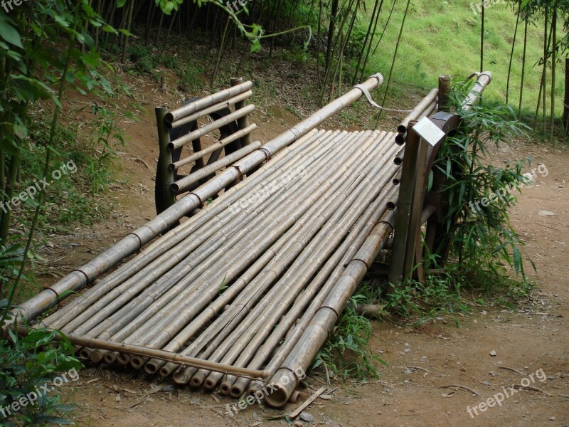 Bench Dead Rock Circle Bamboo Free Photos