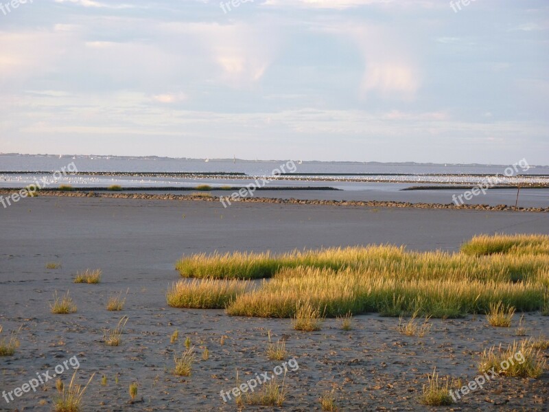 Ebb Tides Water Beach Coast