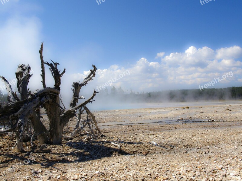 Yellowstone National Park Wyoming Usa Landscape Scenery