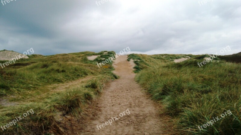 Path Nature Grass Sand Sky