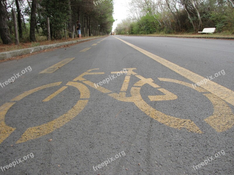 Bicycle Road Signals Template Form