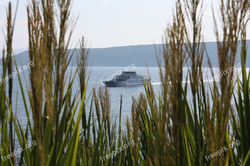 Ferry Jadrolinija Ship Free Photos