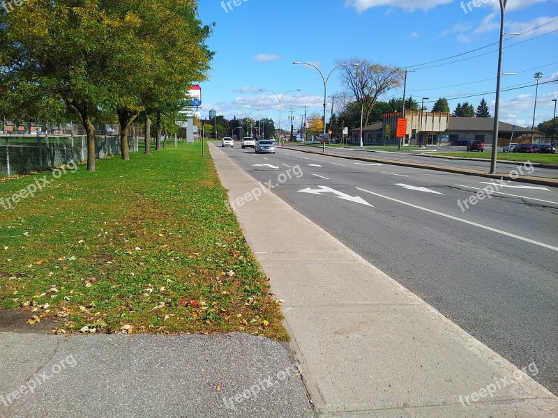 Road Cars City Outside Tree