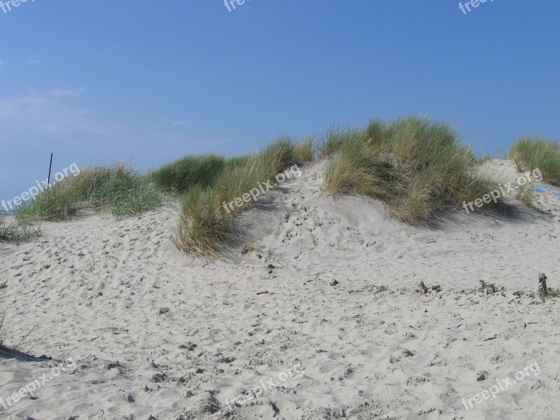 Dune North Dune Ridge Footprints Borkum