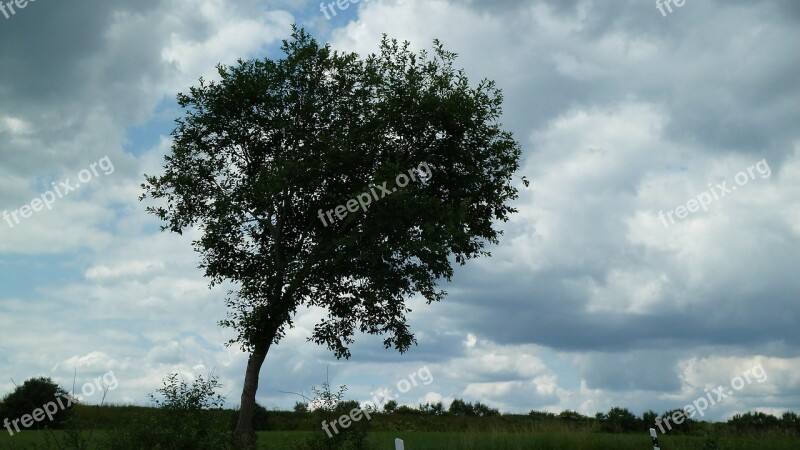 Tree Sky Landscape Clouds Solitary