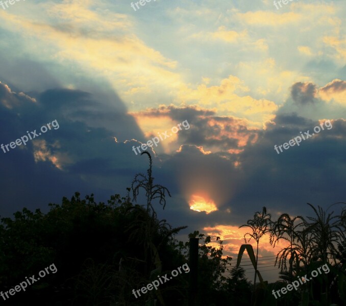 Cloud Loose White And Shady Light Wedge