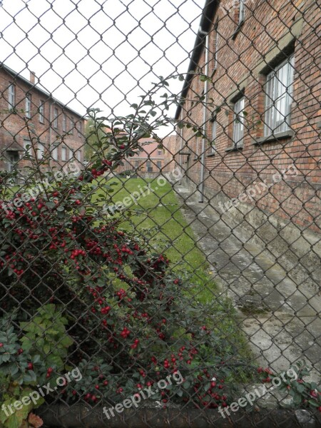 Auschwitz Concentration Camp Barak Poland Free Photos