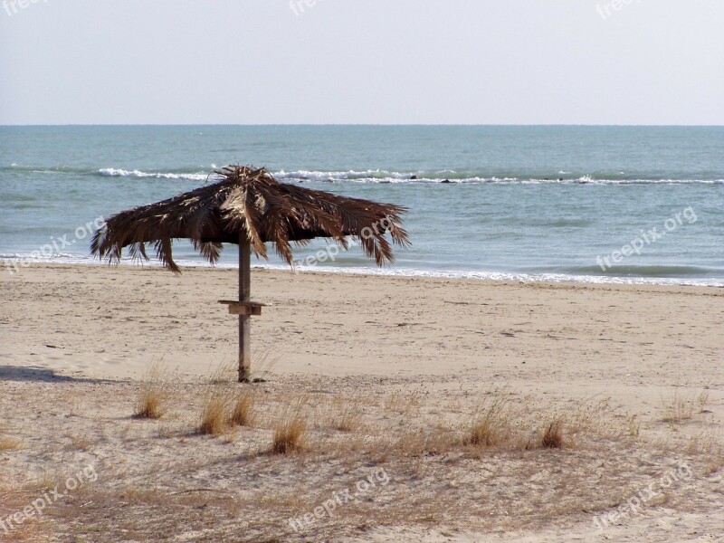 Beach Umbrella Beach Summer Wild Sea