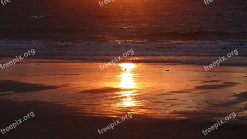 Sea North Sea Beach Water Sunset