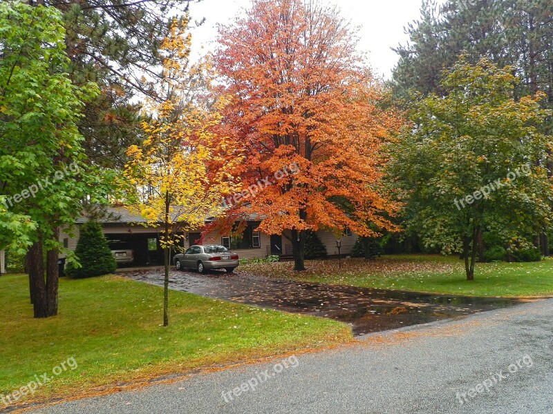 Fall Front Yard Orange Yellow Foliage