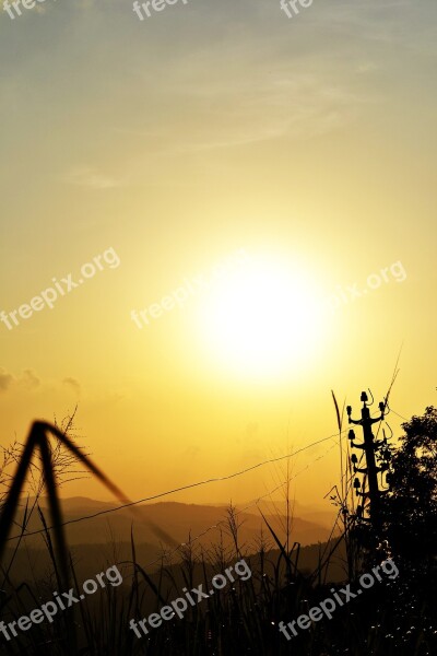 Sun Set Plant Nature Grass Trees