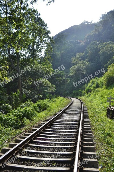 Rail Road Rail Rails Train Transport