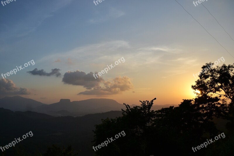 Sun Set Plant Nature Grass Trees