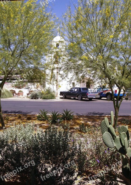 Taco Market Place Church Religion Trees