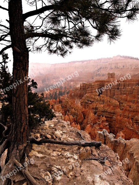 Bryce Canyon National Park Utah Usa Erosion