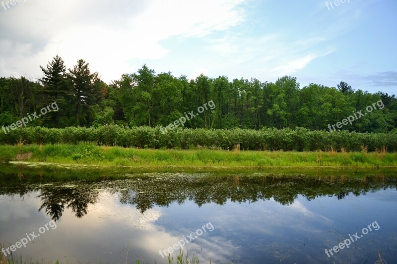 Tree Trees Sky Clouds Landscape