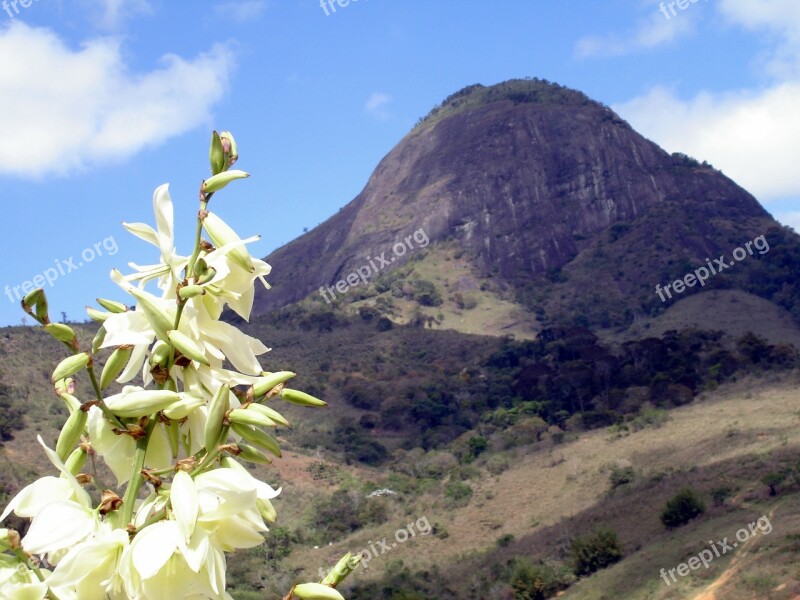 Brazil Pedra Bonita Mg Nature Green Beauty