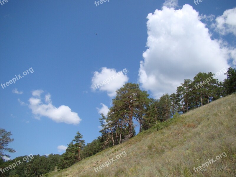 Slope From The Bottom Pine Sky Clouds