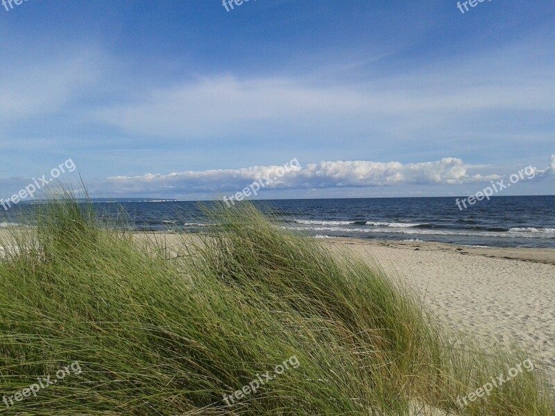 Baltic Sea Beach Rügen Göhren Free Photos